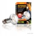 Exo Terra 50 watt Intense Basking Spot 
