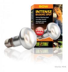 Exo Terra 50 watt Intense Basking Spot 