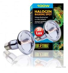 Exo Terra 100 watt Sun Glo Halogen Bulb