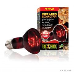 Exo Terra 75 Watt Infrared Basking Spot 