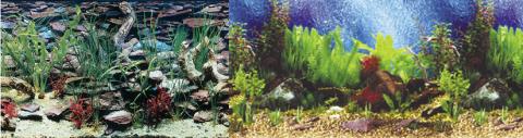 Penn Plax Cage Background 24" Tall Shalescape / Tropical Blue