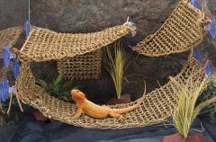 Penn Plax Large Corner Lizard Lounger