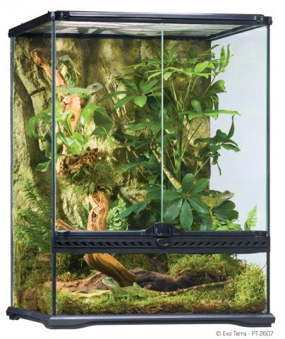 Exo Terra 18 x 18 x 24" Glass Terrarium (local pickup only)