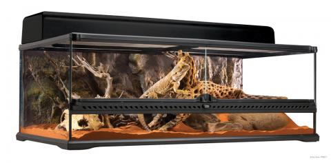 Exo Terra 36 x 18 x 12" Glass Terrarium (local pickup only)