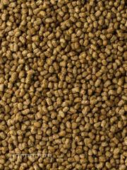 Mazuri Herbivorous Reptile Diet 25 Pounds