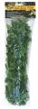 Zoo Med Mexican Phyllo Bush Plant Small
