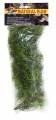 Zoo Med Cashuarina Bush Plant Medium