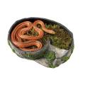 Zilla Rock Lair Medium