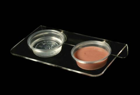Pangea Magnetic Gecko Ledge - Acrylic Large