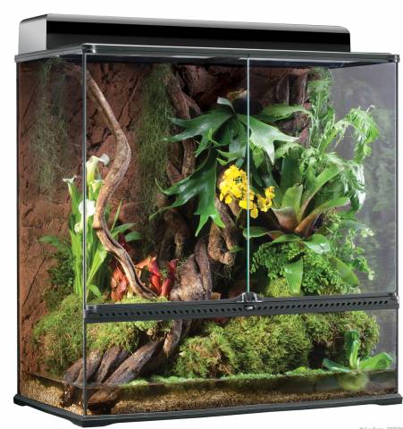 Exo Terra 36 x 18 x 36" Glass Terrarium / Paludarium (local pickup only)