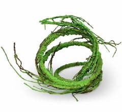 Pangea Ultimate Vine Green