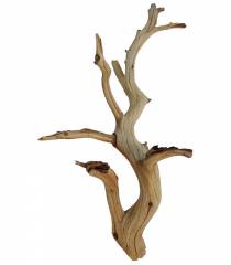 Ghost Wood Small