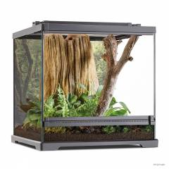 Exo Terra Dart Frog Terrarium (local pickup only)