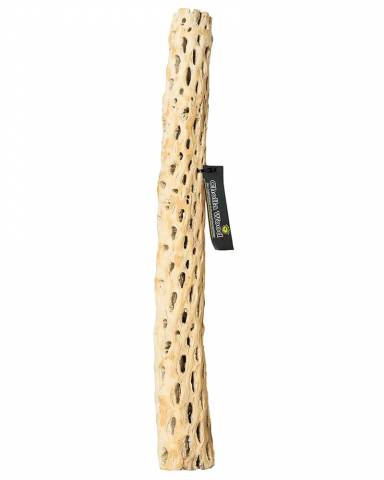 Galapagos Cholla Wood Branch 36"