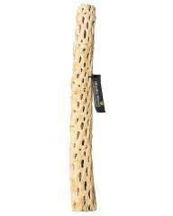 Galapagos Cholla Wood Branch 36"