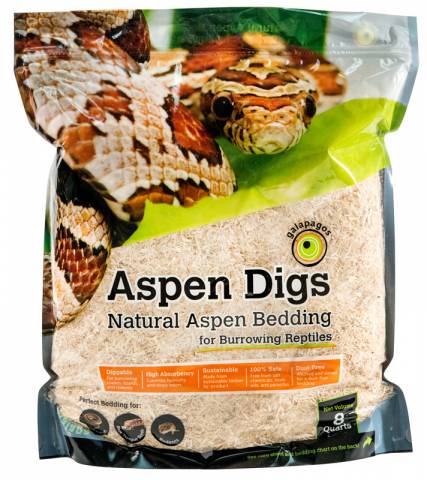Galapagos Aspen Digs 8 quarts