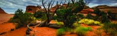 Galapagos Terrarium Cling - Arid