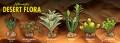 Zoo Med Desert Flora Green Aloe
