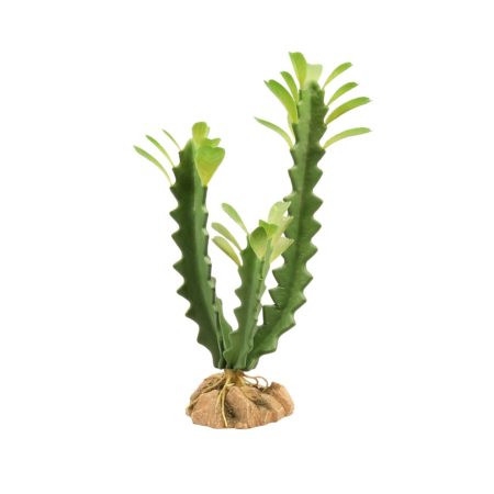 Zoo Med Desert Flora Euphorbia Naturalistic