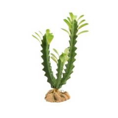 Zoo Med Desert Flora Euphorbia Naturalistic