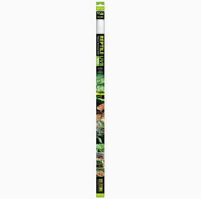Exo Terra UVB100 Fluorescent Bulb 48 inch