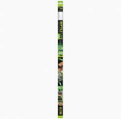 Exo Terra UVB100 Fluorescent Bulb 48 inch