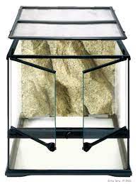 Exo Terra 12 x 12 x 12" Glass Terrarium