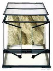 Exo Terra 12 x 12 x 12" Glass Terrarium