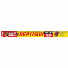 Zoo Med Repti Sun 22" T5 10.0 High Output UVB Bulb