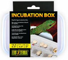 Exo Terra Reptile Egg Incubation Box