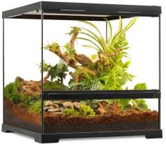 Exo Terra Pro Terrarium Small Wide 18x18x18
