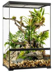 Exo Terra Pro Paludarium Medium X-Tall 24x18x36
