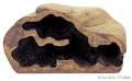 Exo Terra Medium Reptile Den