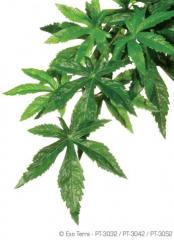Exo Terra Abutilon Silk Jungle Vines