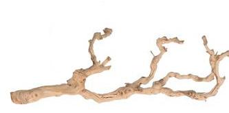 Large sandblasted grapewood
