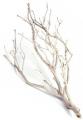 Medium sandblasted manzanita