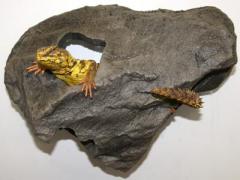 Pet Tekk Medium Granite Grey Hideaway