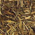 Zoo Med Forest Floor Cypress Mulch 24 quart