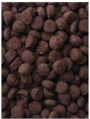 Mazuri Crocodilian Diet 25 pounds