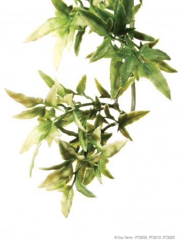 Exo Terra Croton Hanging Plant Large