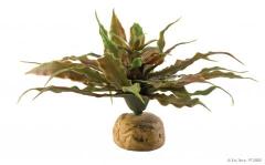 Exo Terra Star Cactus