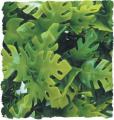 Zoo Med Amazonian Phyllo Bush Plant Medium