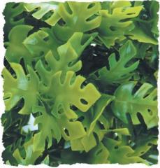 Zoo Med Amazonian Phyllo Bush Plant Medium