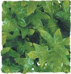 Zoo Med Congo Ivy Bush Plant Medium