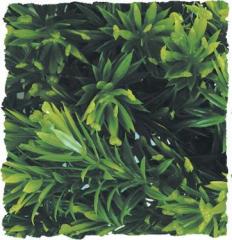 Zoo Med Borneo Star Bush Plant Medium
